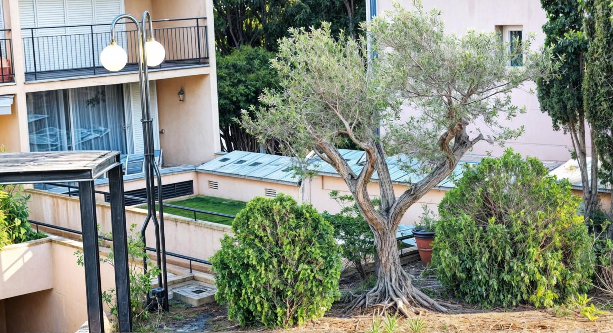 Precioso Apartamento Reformado En 1Ra Linea De Mar Sin Vistas Calella De Palafrugell Rum bild